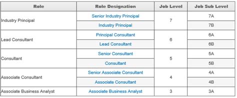 infosys consulting hierarchy